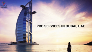 Simplifying Business in Dubai: The Power of PRO Services in Dubai